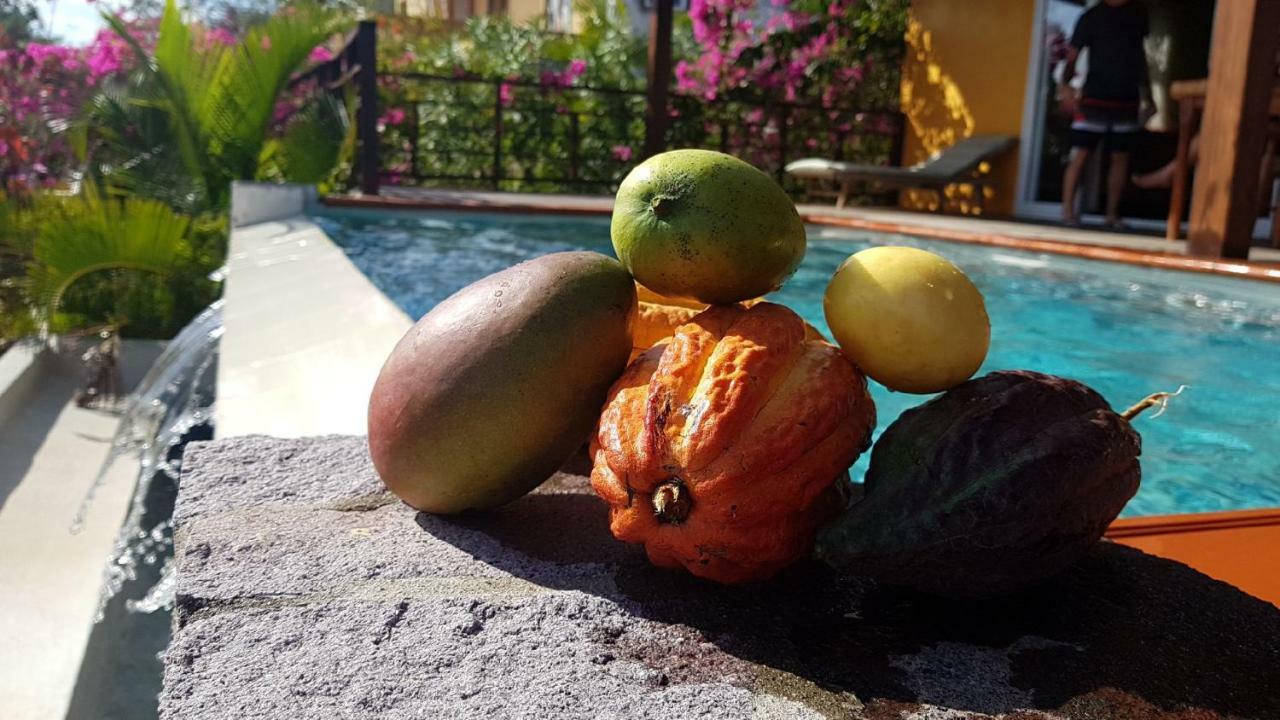 Soufrière Kaye Mango 빌라 외부 사진